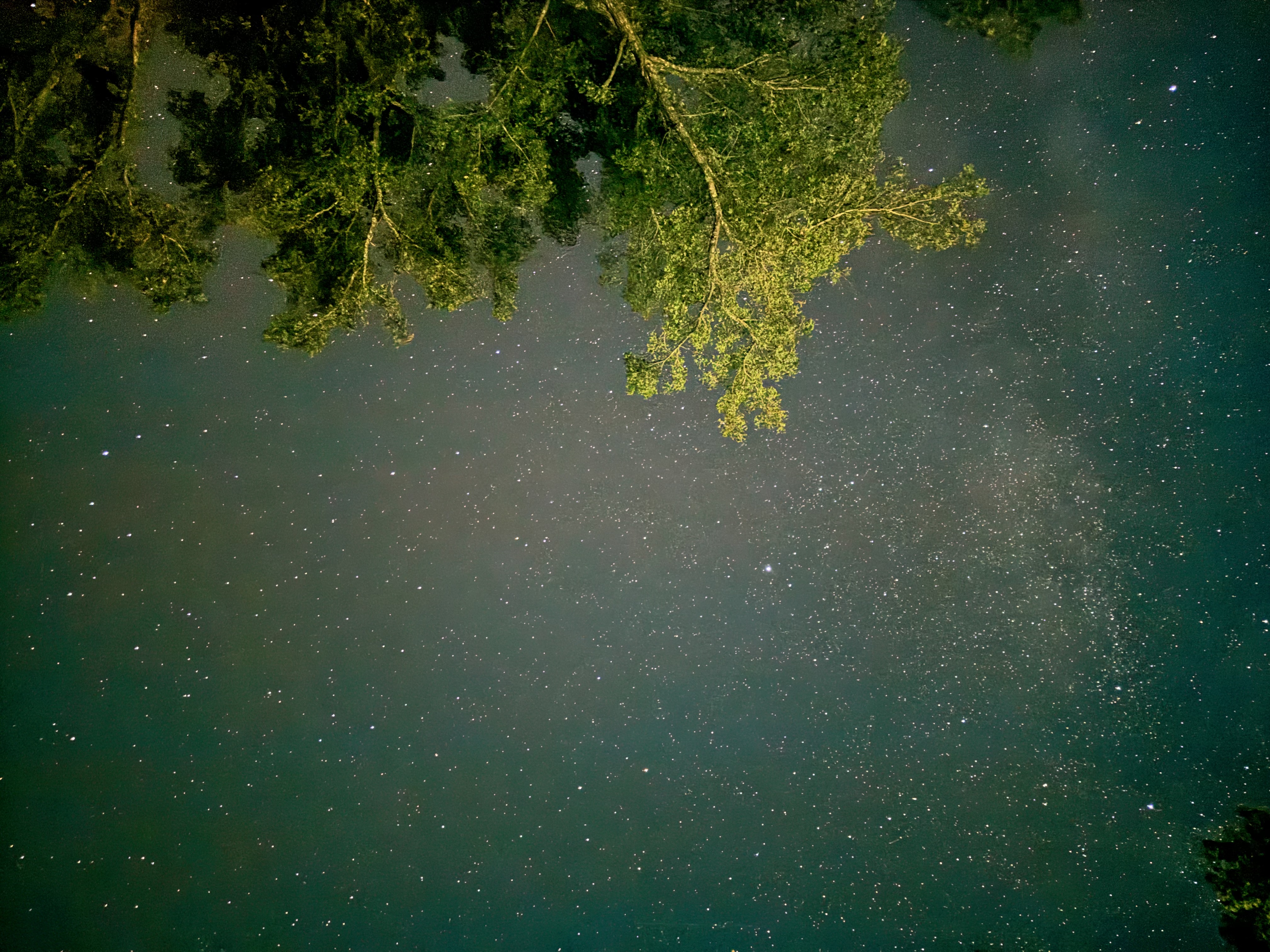 stars in the sky